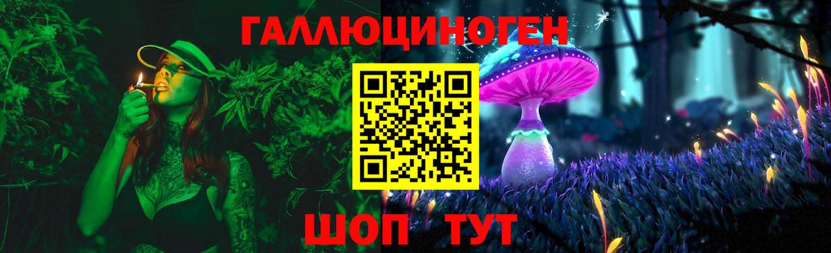Галлюциногенные грибы Psilocybe Жуковский