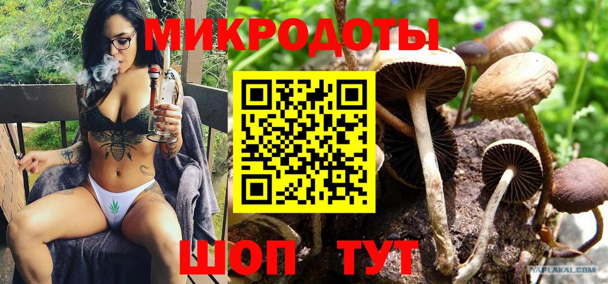 Галлюциногенные грибы MAGIC MUSHROOMS  купить наркотики цена  Жуковский  Вход с VPN 